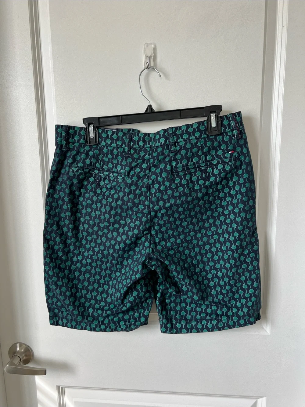 Tommy Hilfiger Navy, Light Blue & Red Trim Men's Shorts
